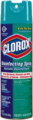 Disinfectant:  19 oz, Aerosol,  Disinfectant