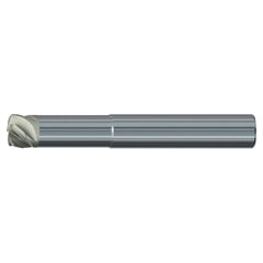 Corner Radius End Mill: 10.00 mm Dia, 4.0000 mm LOC, 40.00 deg Helix, Centercutting Series 3818