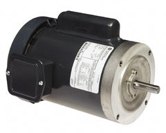 TEFC AC Motor: