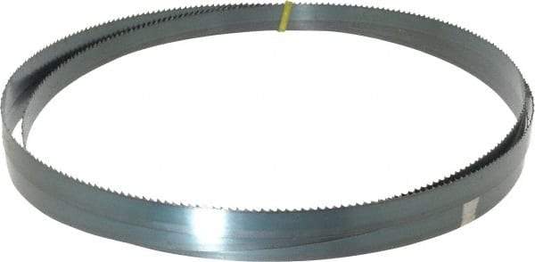 Starrett - 6 TPI, 10' Long x 3/4" Wide x 0.032" Thick, Welded Band Saw Blade - Carbon Steel, Toothed Edge, Raker Tooth Set, Flexible Back, Contour Cutting - Caliber Tooling