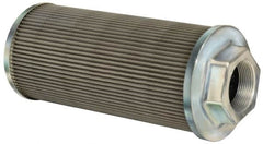 Flow Ezy Filters - 100 Mesh, 284 LPM, 75 GPM, 5.4" Diam, Female Suction Strainer without Bypass - 2-1/2 Port NPT, 12-1/2" Long - Caliber Tooling