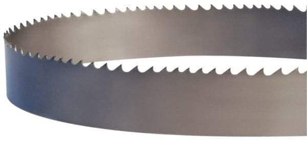 Lenox - 2 to 3 TPI, 20' 8" Long x 2" Wide x 1/16" Thick, Welded Band Saw Blade - Bi-Metal, Toothed Edge - Caliber Tooling