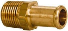 Parker - 3/8 NPT Thread Hose Barb x Male NPT Connector - 1/2" ID Hose, Brass - Caliber Tooling