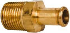 Parker - 1/2 NPT Thread Hose Barb x Male NPT Connector - 1/2" ID Hose, Brass - Caliber Tooling