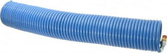 Coilhose Pneumatics - 1/4" ID, 1/4 Thread, 50' Long, Blue Nylon Coiled & Self Storing Hose - 220 Max psi, Male Swivel x Male Swivel - Caliber Tooling