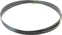 Starrett - 6 TPI, 14' Long x 1" Wide x 0.035" Thick, Welded Band Saw Blade - Carbon Steel, Toothed Edge, Raker Tooth Set, Flexible Back, Contour Cutting - Caliber Tooling