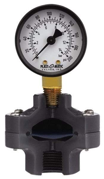 Plast-O-Matic - 160 Max psi, 2 Inch Dial Diameter, PVC Pressure Gauge Guard and Isolator - 3% Accuracy - Caliber Tooling