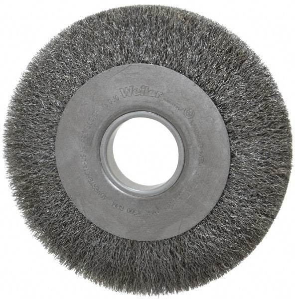 Weiler - 8" OD, 2" Arbor Hole, Crimped Steel Wheel Brush - 1" Face Width, 1-3/8" Trim Length, 0.0104" Filament Diam, 4,500 RPM - Caliber Tooling