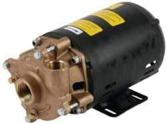 Pentair - 208-230/460 Volt, 3/4 hp, 1-1/4 Inlet, 72 GPM Bronze Utility Pump - 55 Max Head Pressure, 1 Inch Outlet - Caliber Tooling