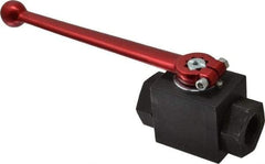 HYDAC - 3/4" Pipe, Carbon Steel Standard Ball Valve - 1 Piece, FNPT x FNPT Ends, Lever Handle, 5,000 WOG - Caliber Tooling