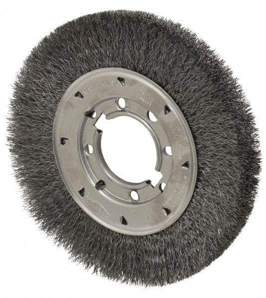 Osborn - 8" OD, 2" Arbor Hole, Crimped Steel Wheel Brush - 5/8" Face Width, 1-1/2" Trim Length, 0.0118" Filament Diam, 4,500 RPM - Caliber Tooling