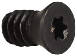 APT - Torx Cap Screw for Indexable Counterbore - Caliber Tooling