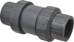 Plast-O-Matic - 2" PVC Check Valve - Inline, FNPT x FNPT, 150 WOG - Caliber Tooling