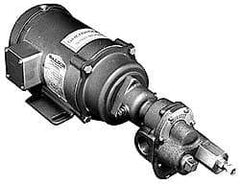 Pentair - 17-1/2 Inch Long, Close Coupled-Mount Gear Close Coupled Mount Gear Pump - ODP, 7 Max GPM - Caliber Tooling