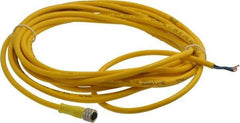 Brad Harrison - 3 Amp, M8 Female Straight to Pigtail Cordset Sensor and Receptacle - 60 VAC, 75 VDC, 5m Cable Length, IP68 Ingress Rating - Caliber Tooling