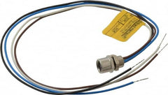 Brad Harrison - 4 Amp, M8 Female Straight Receptacle - 60 VAC, 75 VDC, 0.30m Cable Length, IP67 Ingress Rating - Caliber Tooling