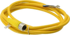 Brad Harrison - 4 Amp, M12 Female Straight to Pigtail Cordset Sensor and Receptacle - 250 VAC/VDC, 2m Cable Length, IP67 Ingress Rating - Caliber Tooling