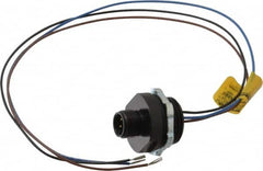 Brad Harrison - 4 Amp, M12 Male Straight Receptacle - 250 VAC/VDC, 0.31m Cable Length, IP67 Ingress Rating - Caliber Tooling