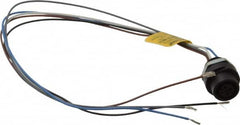 Brad Harrison - 4 Amp, M12 Female Straight Receptacle - 250 VAC/VDC, 0.31m Cable Length, IP67 Ingress Rating - Caliber Tooling