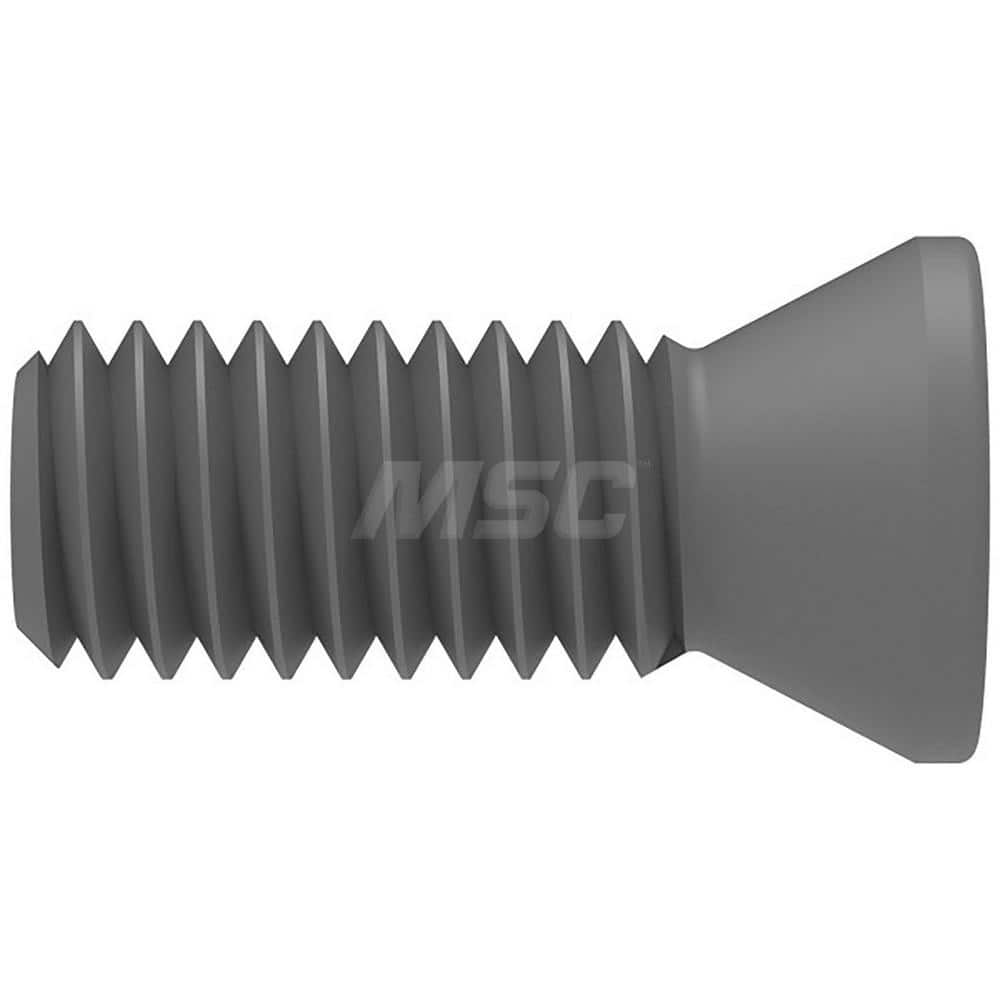 Lock Screw for Indexables: 20IP, Torx Plus Drive, M6 Thread