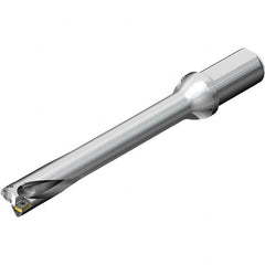 Sandvik Coromant - 4.809" Max Drill Depth, 7xD, 0.687" Diam, Indexable Insert Drill - Caliber Tooling