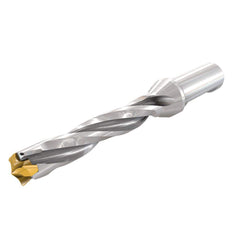Replaceable Tip Drill: 0.748 to 0.783'' Drill Dia, 3.904″ Max Depth, 1'' Flatted Shank Uses H3P Inserts, 7.5″ OAL, Through Coolant