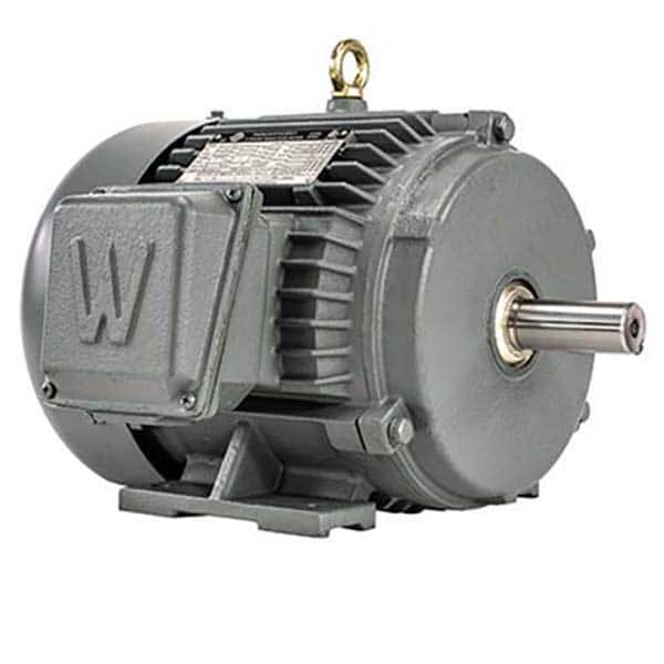 Worldwide Electric - Electric AC/DC Motors Motor Type: Premium Efficient Type of Enclosure: TEFC - Caliber Tooling