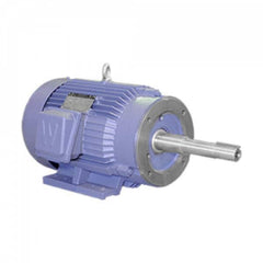 Worldwide Electric - Electric AC/DC Motors Motor Type: Premium Efficient Type of Enclosure: TEFC - Caliber Tooling