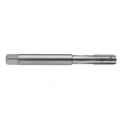 M5 x 0.8 Dia. - 6H - 4 FL - Carbide Semi-Bott Tap - Bright Finish-Coolant-Thru-FORM-C - Caliber Tooling