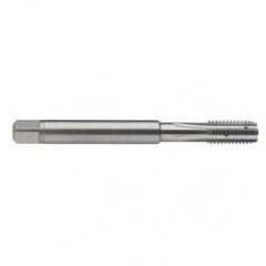 M8 x 1.25 Dia. - 6H - 4 FL - Carbide Semi-Bott Tap - Bright Finish-Coolant-Thru-FORM-C - Caliber Tooling