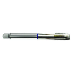 M6 × 1.0 3FL 6H Cobalt Spiral Point Plug Blue Ring Tap-Bright FORM-B DIN 376 - Caliber Tooling