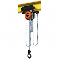 CM - 4,409 Lb Capacity, 20' Lift Height, Manual Chain Hoist - Caliber Tooling