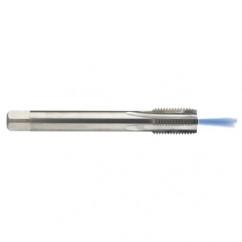 M14 x 2.0 Dia. - 6H - 4 FL - Carbide Semi-Bott Tap - Bright Finish-Coolant-Thru-FORM-C - Caliber Tooling