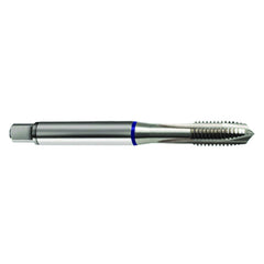 ‎4-40 3FL 2B Cobalt Spiral Point Plug Blue Ring Tap-Bright FORM-B - Caliber Tooling