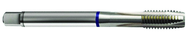 6-40 Dia. - 2B - 3 FL - Cobalt Spiral Point Plug Blue Ring Tap - Bright FORM-B DIN 374 - Caliber Tooling