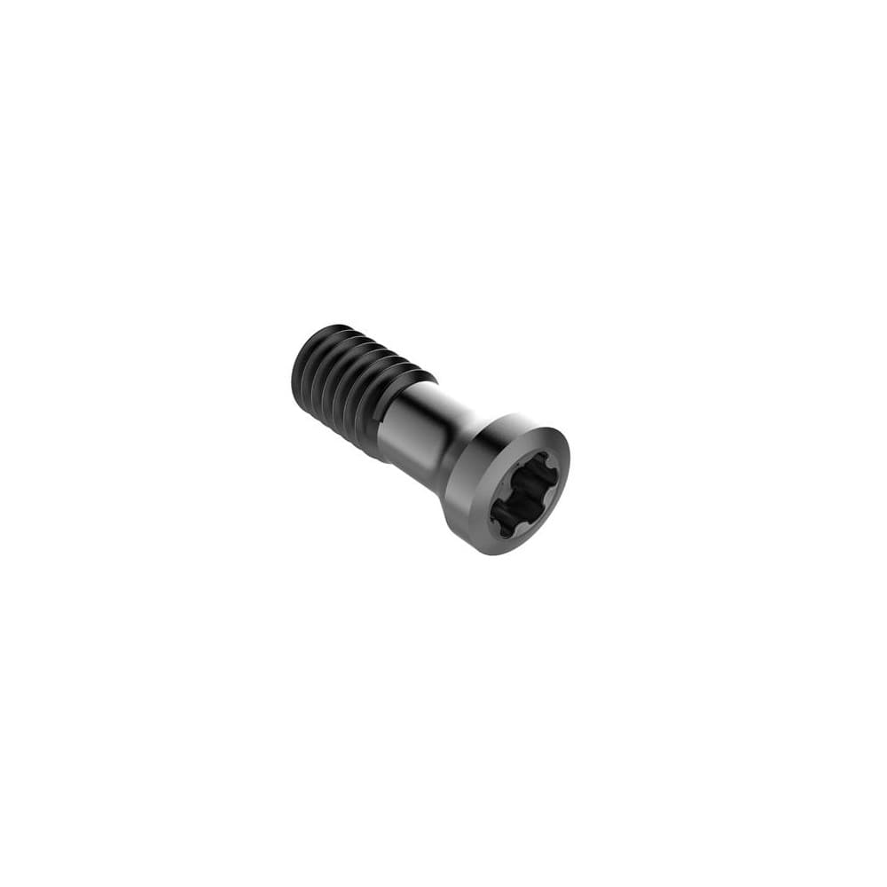 Insert Screw for Indexables: Torx Plus Drive, M4 Thread