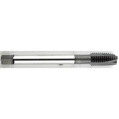 ‎6-32 Dia. - GH3 - 2 FL - Premium - HSS - Black Oxide - Plug - Spiral Point Tap Series/List #2088 - Caliber Tooling