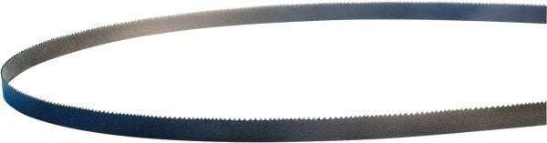 Lenox - 10 to 14 TPI, 7' 7-1/2" Long x 1/2" Wide x 0.025" Thick, Welded Band Saw Blade - M42, Bi-Metal, Toothed Edge - Caliber Tooling