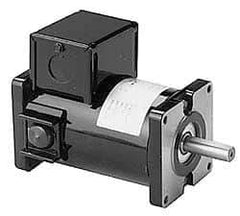 Leeson - 1/6 Max hp, 1,800 Max RPM, Electric AC DC Motor - 12 V Input, 31GS Frame - Caliber Tooling