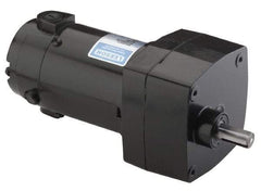 Leeson - 1/150 Max hp, 1.9 Max RPM, Electric AC DC Motor - 115 V Input, Single Phase, 31 Frame - Caliber Tooling