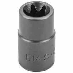 SK - Hand Socket - Caliber Tooling