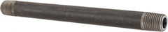 Made in USA - Schedule 80, 1/4" Diam x 6" Long Steel Black Pipe Nipple - Threaded - Caliber Tooling