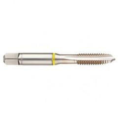 40241 2B 4-Flute Cobalt Yellow Ring Spiral Point Plug Tap-Bright - Caliber Tooling