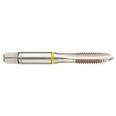 14702 2B 3-Flute Cobalt Yellow Ring Spiral Point Plug Tap-Bright - Caliber Tooling