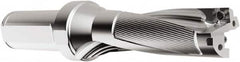 Seco - 45.21mm Max Drill Depth, 3xD, 15.09mm Diam, Indexable Insert Drill - 2 Inserts, 1" Shank Diam, Straight Shank - Caliber Tooling