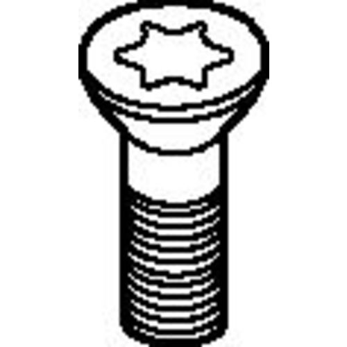 12748610900 INSERT SCREW - Caliber Tooling