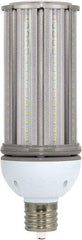 Value Collection - 45 Watt LED Commercial/Industrial Mogul Lamp - 5,000°K Color Temp, 5,400 Lumens, 100, 277 Volts, Ex39, 50,000 hr Avg Life - Caliber Tooling