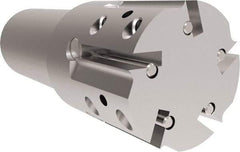 Allied Machine and Engineering - 44.58mm Cut Diam, 32mm Shank Diam, Internal/External Indexable Thread Mill - Multiple Insert Styles, 38.1mm Insert Size, Toolholder Style THP, 114.3mm OAL - Caliber Tooling