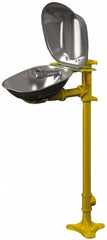 Bradley - Pedestal Mount, Stainless Steel Bowl, Eyewash Station - Caliber Tooling