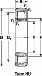 SKF - 35mm Bore Diam, 80mm Outside Diam, 21mm Wide Cylindrical Roller Bearing - 64,400 N Dynamic Capacity, 63,000 Lbs. Static Capacity - Caliber Tooling